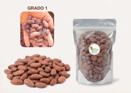 Granos de Cacao Seleccionado